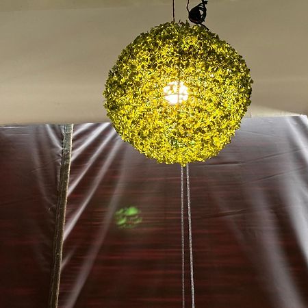 Rukmani Villas Group Of Rukmani Home Stay Матхура Экстерьер фото